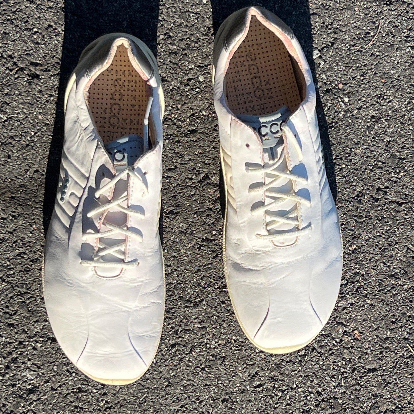 Men’s Ecco  Biom Natural Motion Spikeless Golf Shoes 45EU -White/Blue- Hydromax Leather